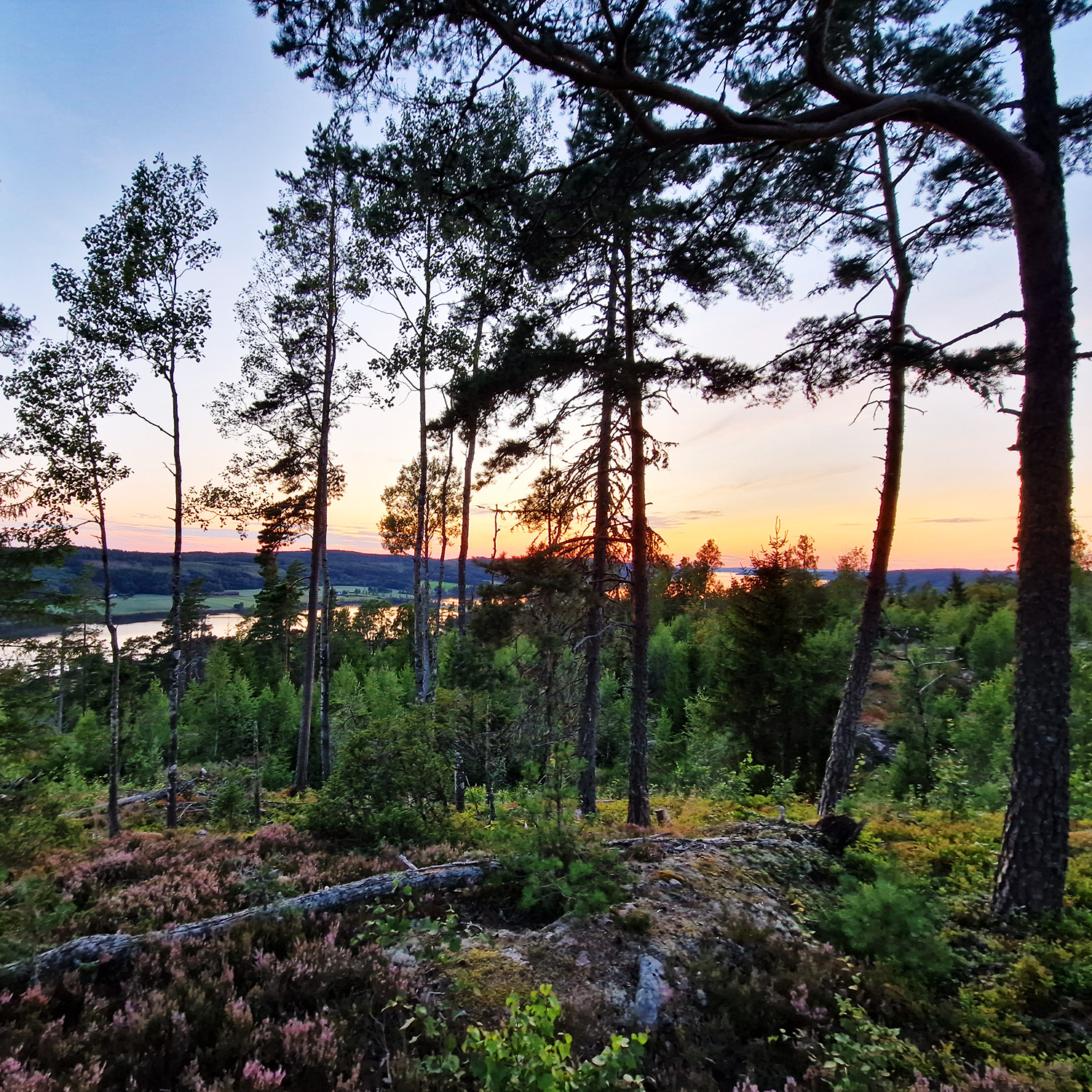 Natur